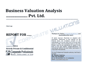 Business Valuation Analysis Report Template