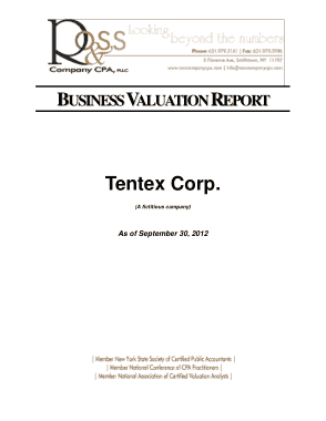 Business Valuation Report Sample Template