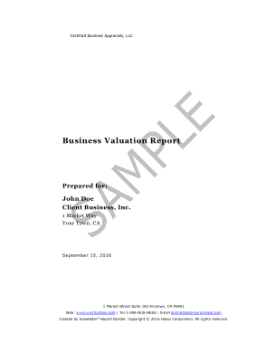 Sample Small Business Valuation Report Template