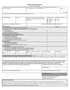 Federal Financial Report Template