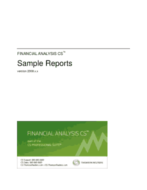 Financial Analsysis Report Template