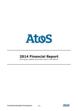 Investor Financial Report Template