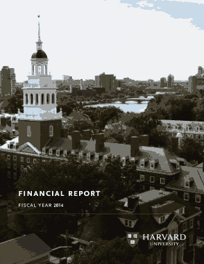 Sample Financial Report Template