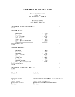 Sample Format of A Financial Report Template