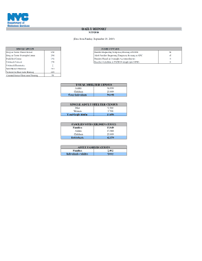 Formal Daily Report Template