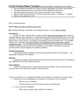 Formal Forensic Report Template