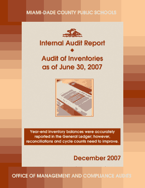 Free Download PDF Books, Inventory Audit Report Template