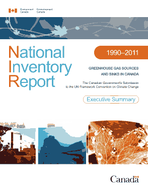 Natural Gas National Inventory Report Template