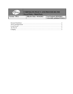 Consultant Expense Report Template