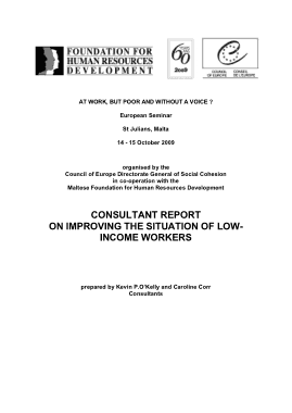 Improving the Situation of Low Income Workers Consultant Report Template