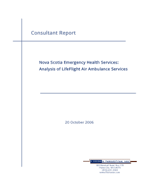 Free Download PDF Books, Management Consulting Report Template