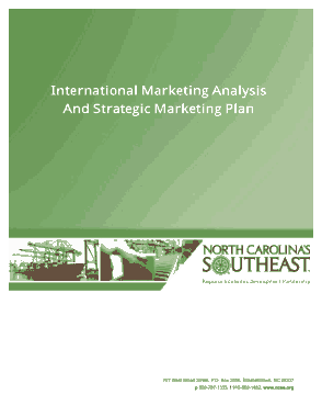 International Marketing Analysis and Marketing Plan Template
