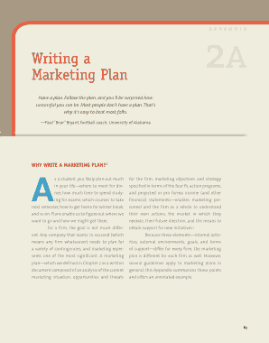 Writing Marketing Plan Template