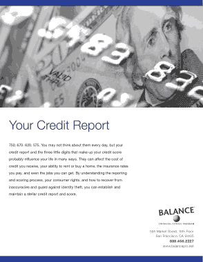 Free Download PDF Books, Balance Credit Report Template