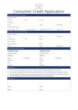 Consumer Credit Application Template
