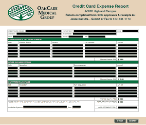 Credit Card Expense Report Form Template