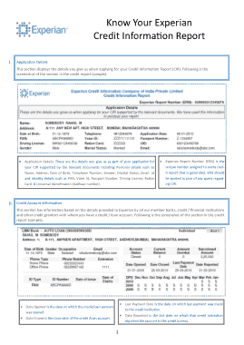Credit Information Report Template