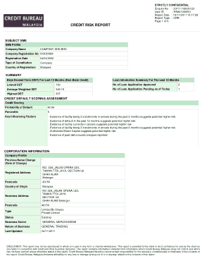 Credit Risk Report Example Template