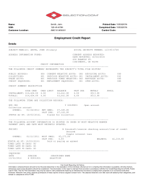 Employment Credit Report Template