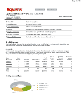 Equifax Credit Report Format Template
