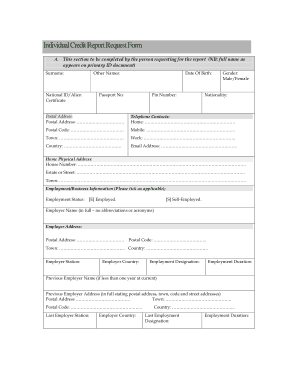Individual Credit Report Request Form Example Template