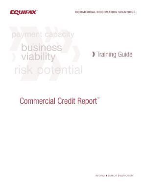 Sample Business Credit Report Template
