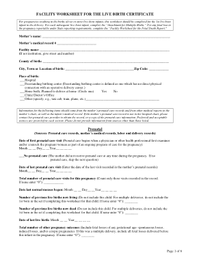Facility Worksheet The Live Birth Certificate Template
