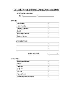 Free Download PDF Books, Conservator Income and Expense Report Template