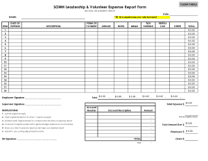 Leadership and Volunteer  Expense Report Form Template