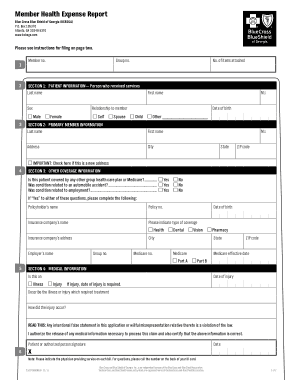 Member Health Expense Report Form Template