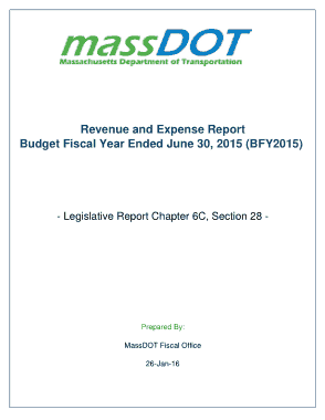Revenue and Expense Report Template