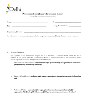 Professional Employee Evaluation Report Template