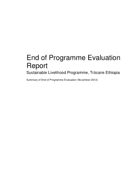 Program Evaluation Report Sample Template