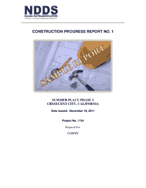 Free Download PDF Books, Construction Progress Report No.1 Template