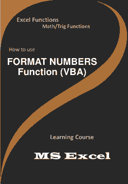 FORMAT Numbers Function _ How to use in VBA