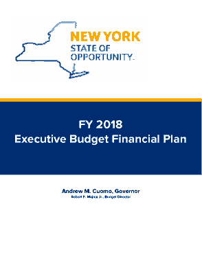 Executive Budget Financial Plan Proposal Template