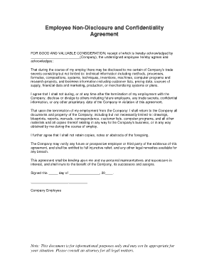 Employee Non Disclosure and Confidentiality Agreement Template