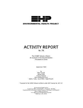 Activity Summary Report Template