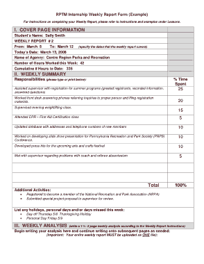 Intermship Weekly Activity Report Template