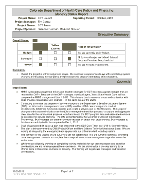 Health Department Monthly Project Status Report Template