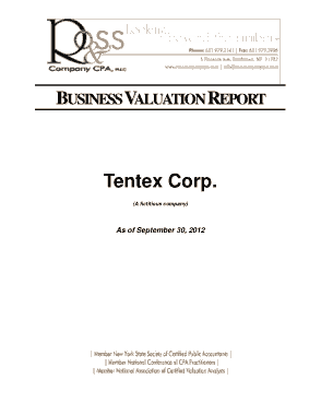 Business Valuation Report Template