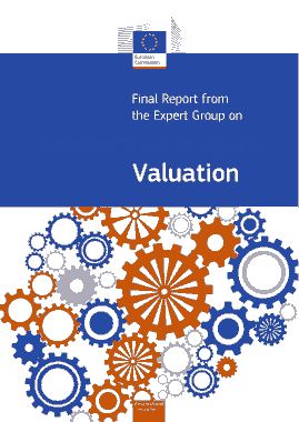 Intellectual Property Valuation Report Template