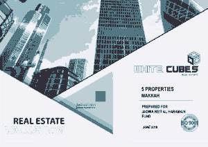 Sample Real Estate Valuation Report Template