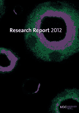 MDC Research Report 2012 Template