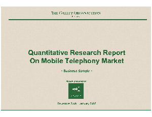 Quantitative Research Report on Mobile Telephony Market Template