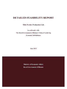 Detailed Feasibility Project Report Template