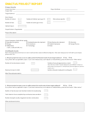 Fillable Enactus Report of Project Example Template