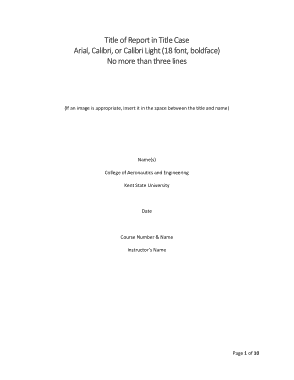 Blank Technical Report Template