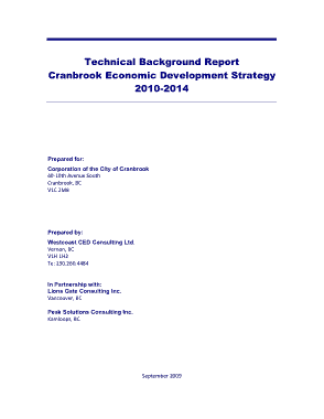 Economic Development Technical Background Report Template