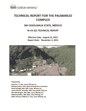 Palmarejo Complex Technical Report Template